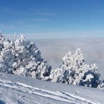 Mageriaz+Rando+ski+2017-12-03+016