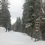 DSC00019