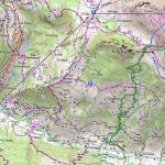 Tete-du-Chnu-Trace-41