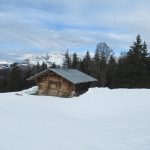 IMG_2068