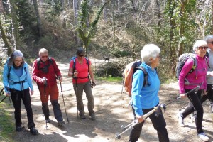 Mercredi 5 Avril : le Roc Castel