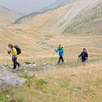IMG-20230913-WA0012CAF