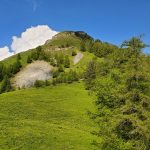 Tourtourel-07