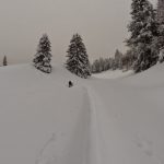 marnod%2520rando%2520ski%2520nordique%25202015-1-25%2520497