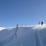 28-img_7416