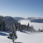 29-img_7417