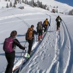 34-img_7420