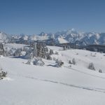 46-img_7429