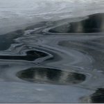 p11403922