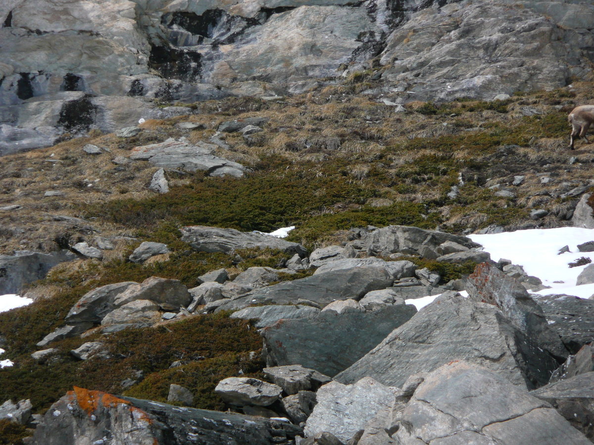 87-p1010268