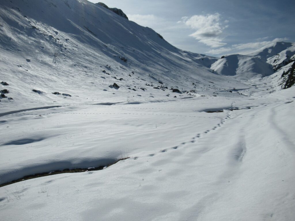 Col de Sallestets (5)