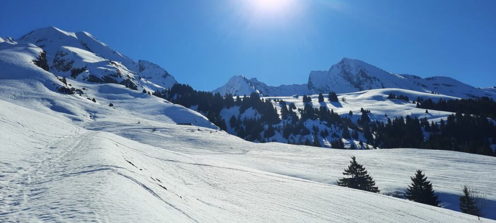 L’Aup de Marlens (1)