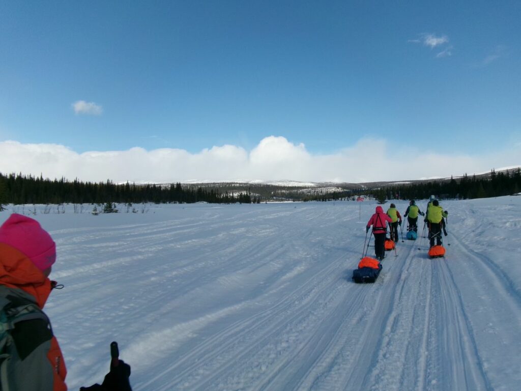 KODAK Digital Still Camera