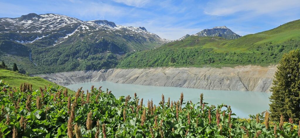 Col de Célestat (1)
