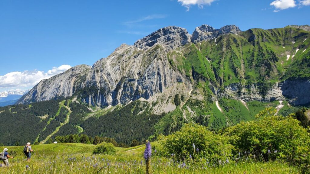 Rochers de Leschaux_8