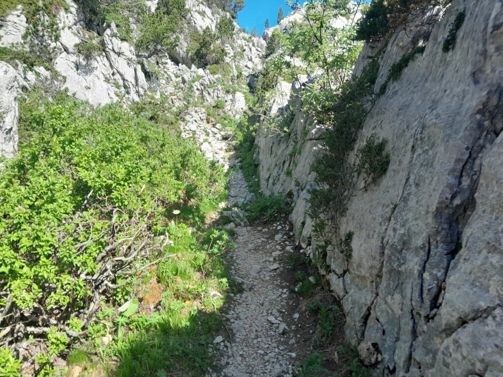 Tête du Parmelan (3)