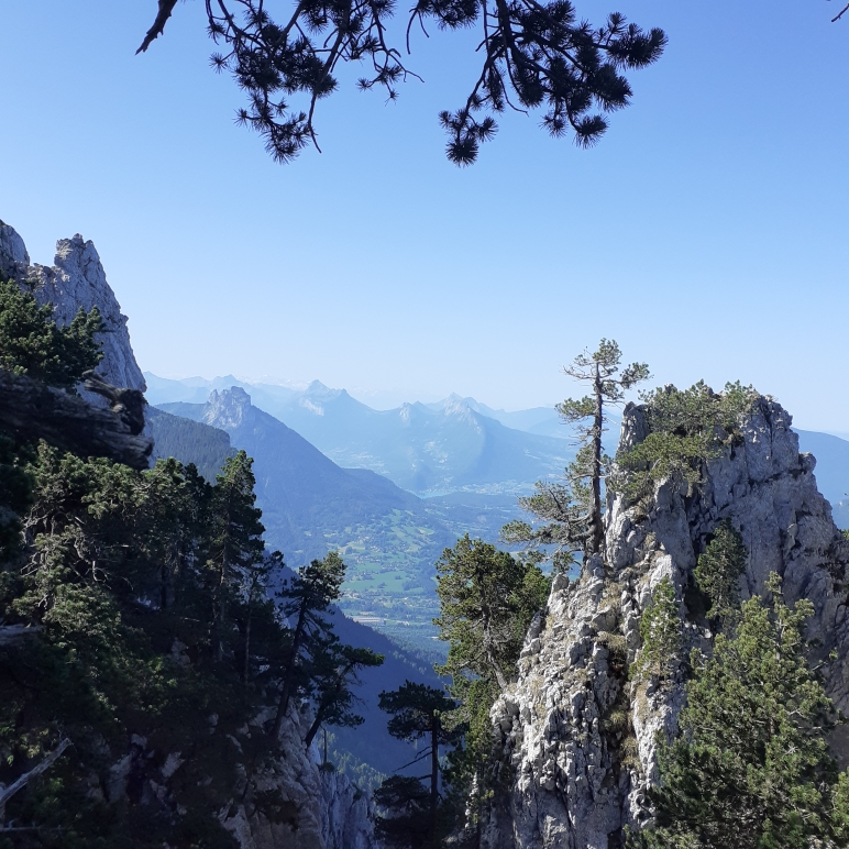 Tête du Parmelan (5)