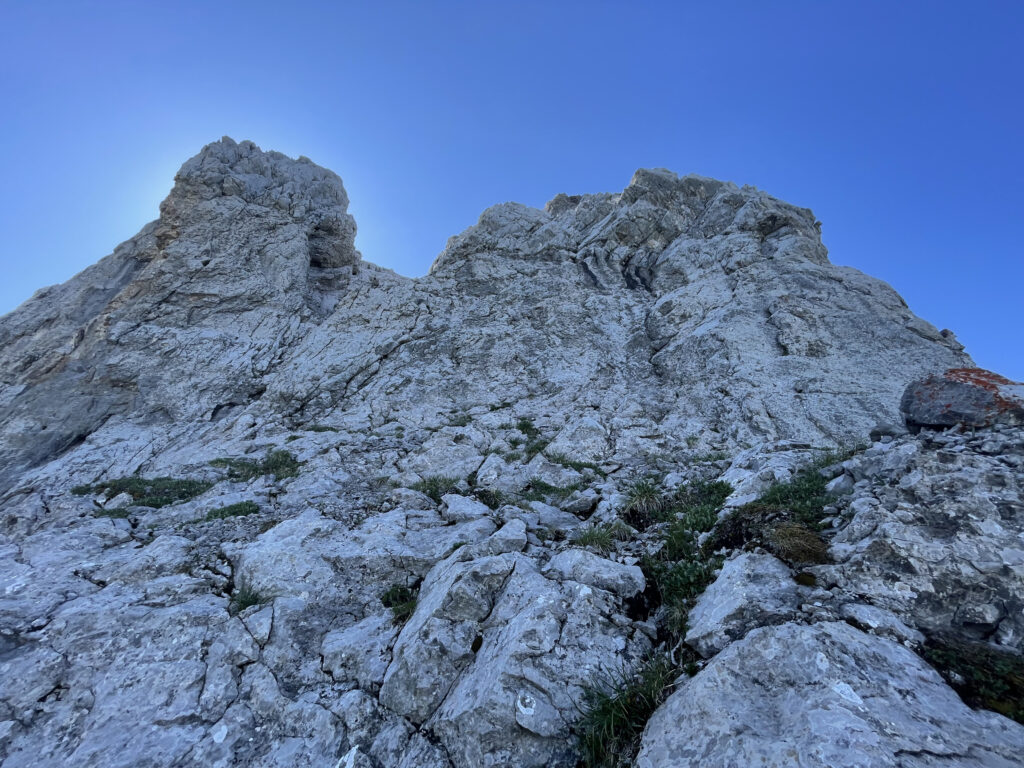 Pointes Longues-0002