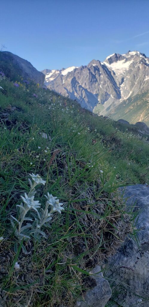 Via Ferrata Camp d’été (7)