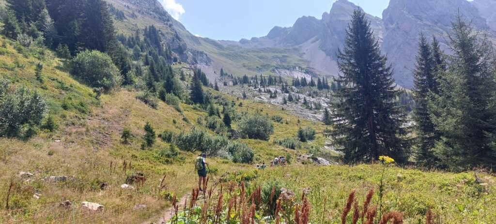 Combe de la Grande Forclaz (11)