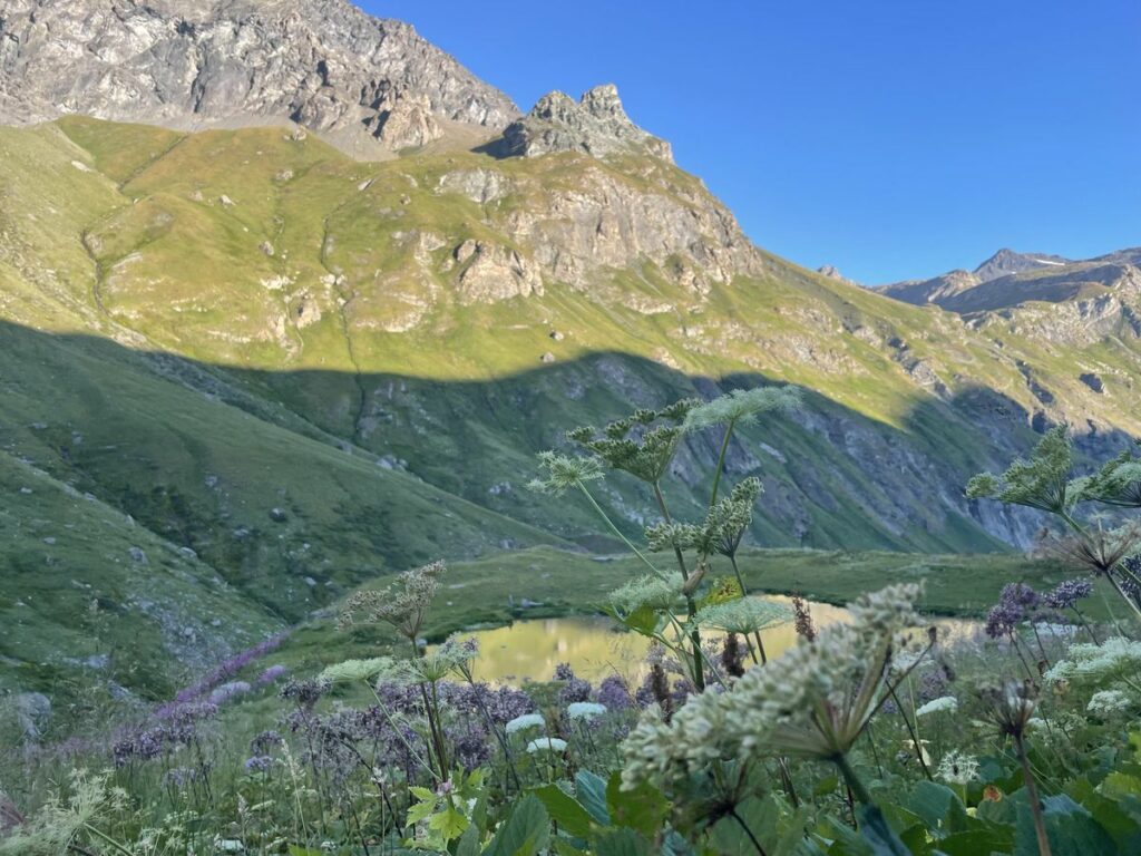 Le Monal-ref Mario Bezzi (12)