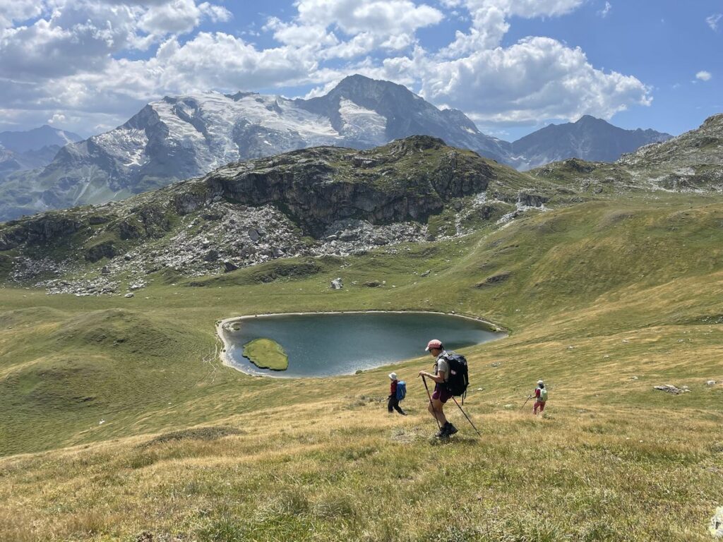Le Monal-ref Mario Bezzi (22)