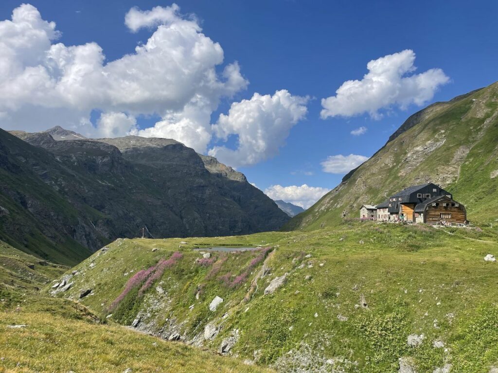Le Monal-ref Mario Bezzi (7)