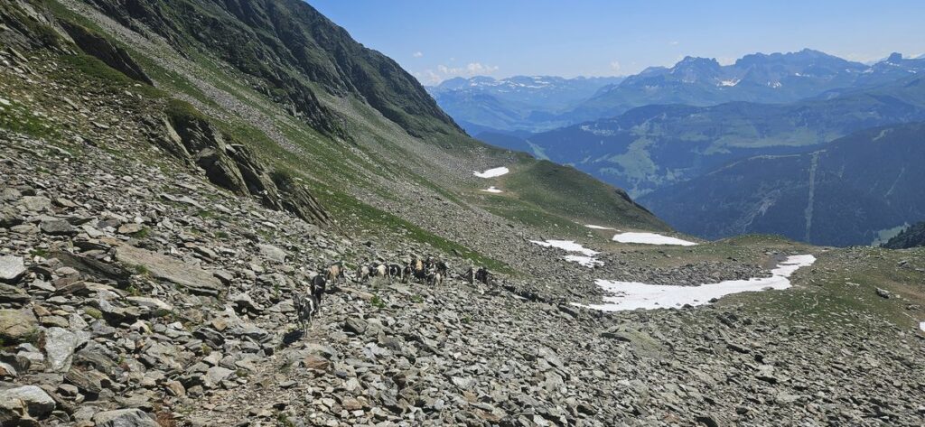 Mont Mirantin (2)