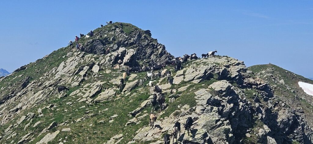 Mont Mirantin (5)