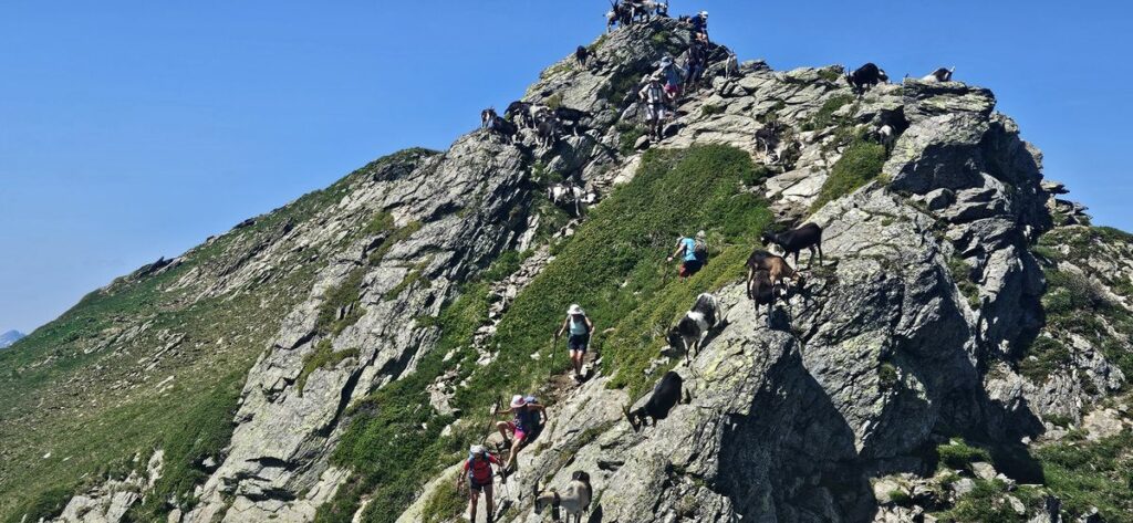 Mont Mirantin (6)