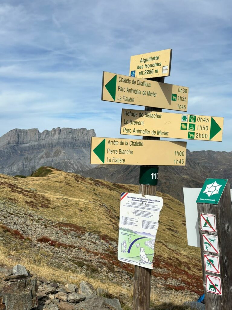 Aiguillette des Houches (8)