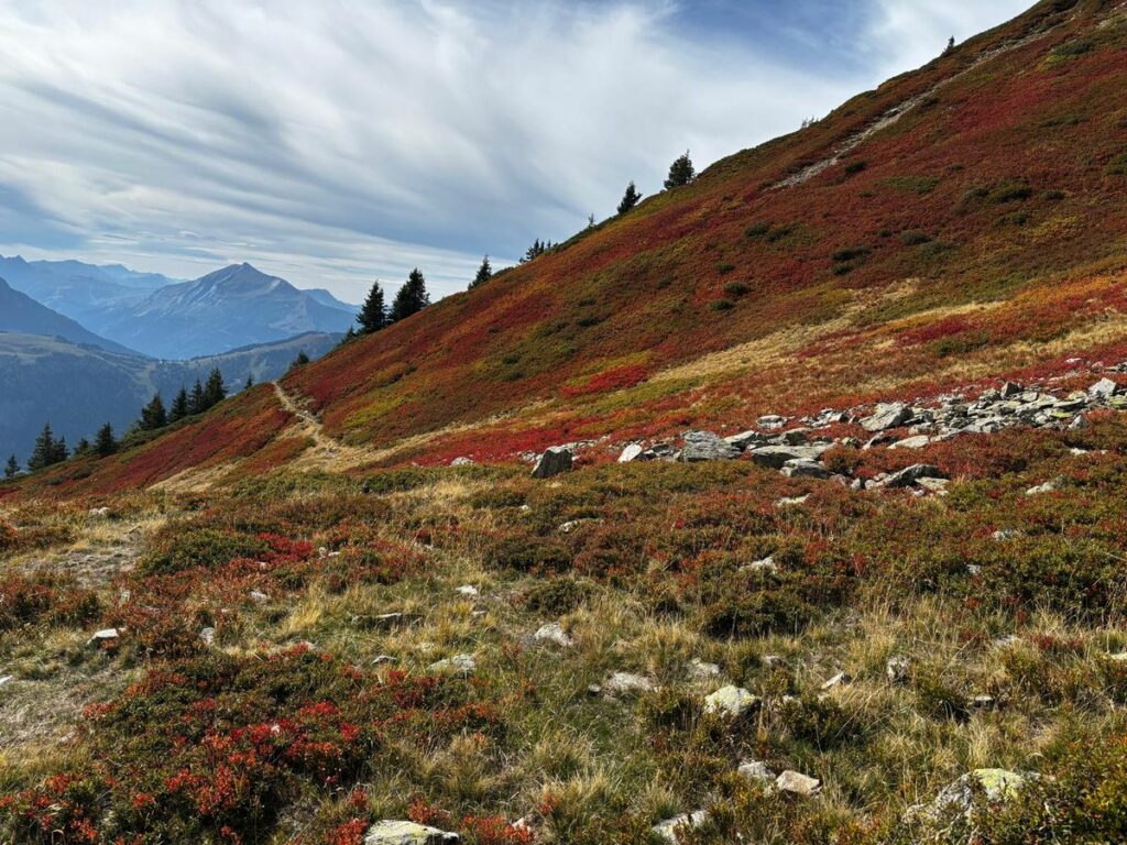 Aiguillette des Houches (9)
